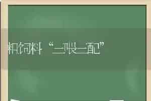 粗饲料“三喂三配”