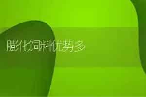 膨化饲料优势多