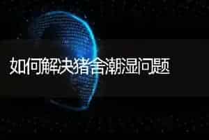 如何解决猪舍潮湿问题