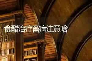 食醋治疗畜病注意啥