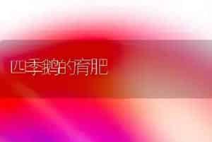 四季鹅的育肥