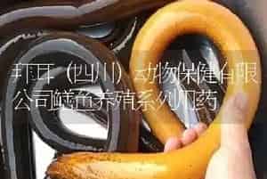 拜耳(四川)动物保健有限公司鳝鱼养殖系列用药