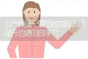 水产养殖户要想效益好必须提升池塘的自净力