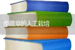 鱼腥草的人工栽培