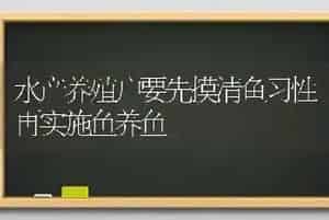 水产养殖户要先摸清鱼习性再实施鱼养鱼