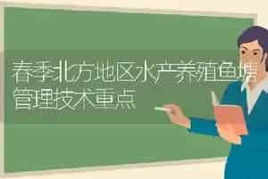 春季北方地区水产养殖鱼塘管理技术重点
