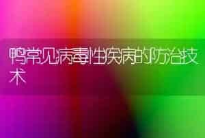 鸭常见病毒性疾病的防治技术