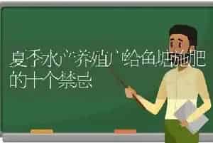 夏季水产养殖户给鱼塘施肥的十个禁忌