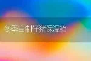 冬季自制仔猪保温箱
