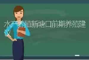 水产养殖新塘口前期养殖建议