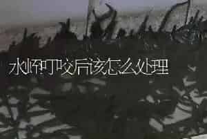 水蛭叮咬后该怎么处理