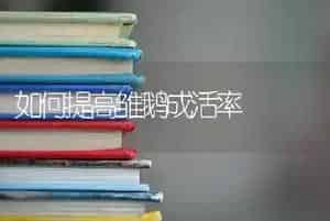 如何提高雏鹅成活率