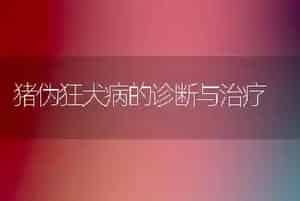 猪伪狂犬病的诊断与治疗