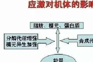 水产养殖过程中的“应激”那点事
