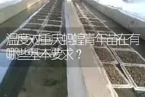 温度对重庆蚂蝗青年苗在有哪些基本要求?