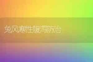 兔风寒性腹泻防治