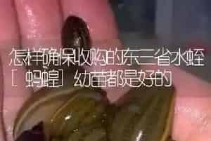 怎样确保