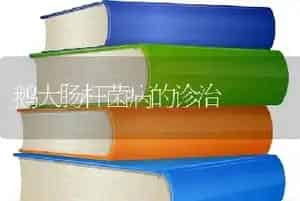 鹅大肠杆菌病的诊治