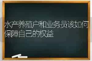 水产养殖户和业务员该如何保障自己的权益