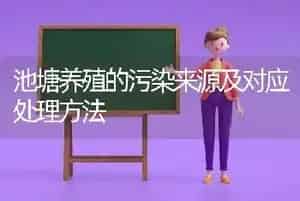 底质改良在水产养殖中的重要性