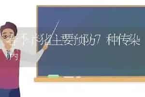 春季养猪主要预防7种传染病