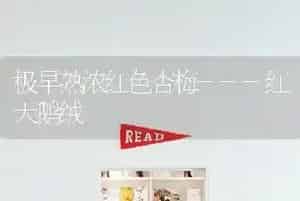 极早熟浓红色杏梅---红天鹅绒