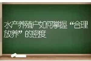 水产养殖户如何掌握“合理放养”的密度