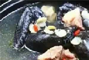 体虚的食疗补品--乌鸡汤