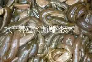 水产养殖水质调控技术