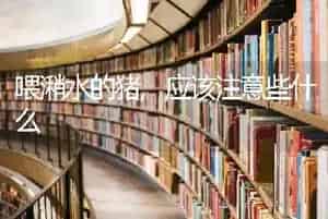 喂潲水的猪,应该注意些什么