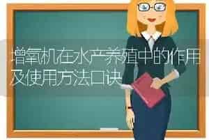 增氧机在水产养殖中的作用及使用方法口诀