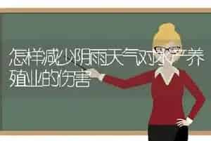 怎样减少阴雨天气对水产养殖业的伤害