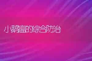 小鹅瘟的综合防治