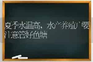 夏季水温高,水产养殖户要注意管好鱼塘