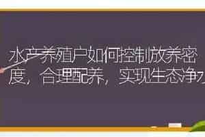 水产养殖户如何控制放养密度,合理配养,实现生态净水
