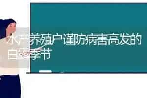 水产养殖户谨防病害高发的白露季节