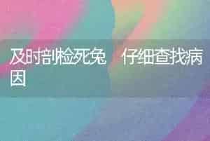 及时剖检死兔 仔细查找病因