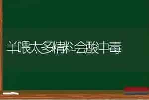 羊喂太多精料会酸中毒
