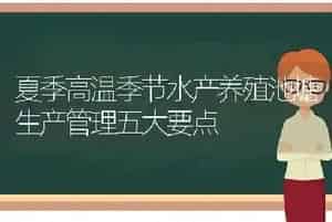 夏季高温季节水产养殖池塘生产管理五大要点