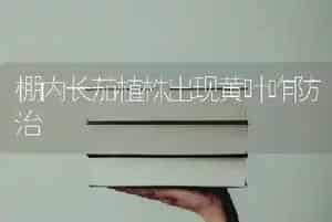 鹅气囊炎的症状及治疗方法