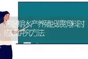 高温期水产养殖投喂饲料时应该讲究方法