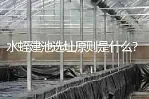 水蛭建池选址原则是什么?