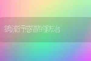 鹅流行感冒的防治