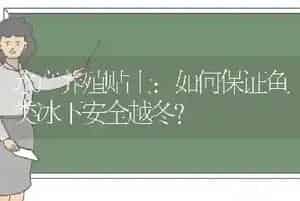 水产养殖贴士：如何保证鱼类冰下安全越冬?