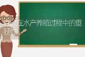 底改在水产养殖过程中的重要性