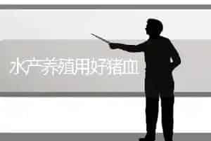 水产养殖用好猪血