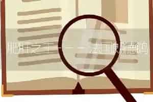 肥肝之王---法国朗德鹅