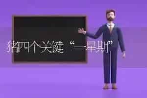 猪四个关键“一星期”