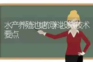 水产养殖池塘饲料投喂技术要点