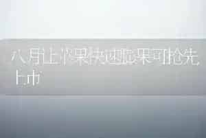 鹅卵黄性腹膜炎的防治